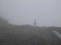 image02